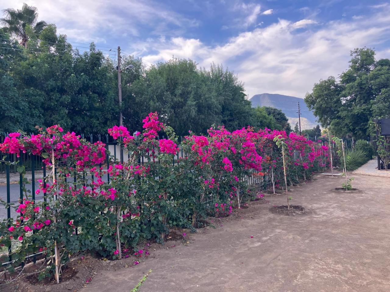 Die Dorpshuis Graaff-Reinet Zewnętrze zdjęcie
