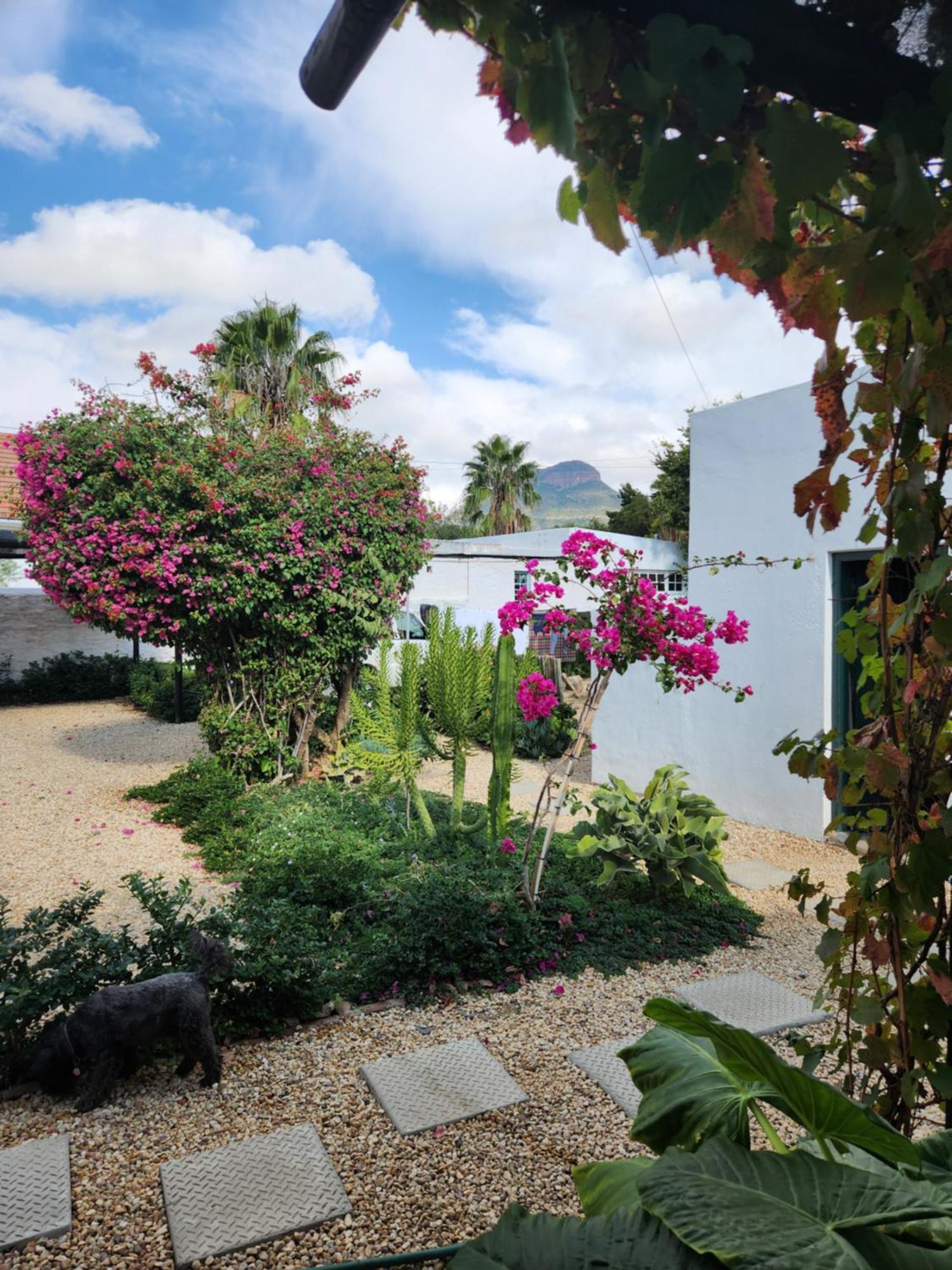 Die Dorpshuis Graaff-Reinet Zewnętrze zdjęcie