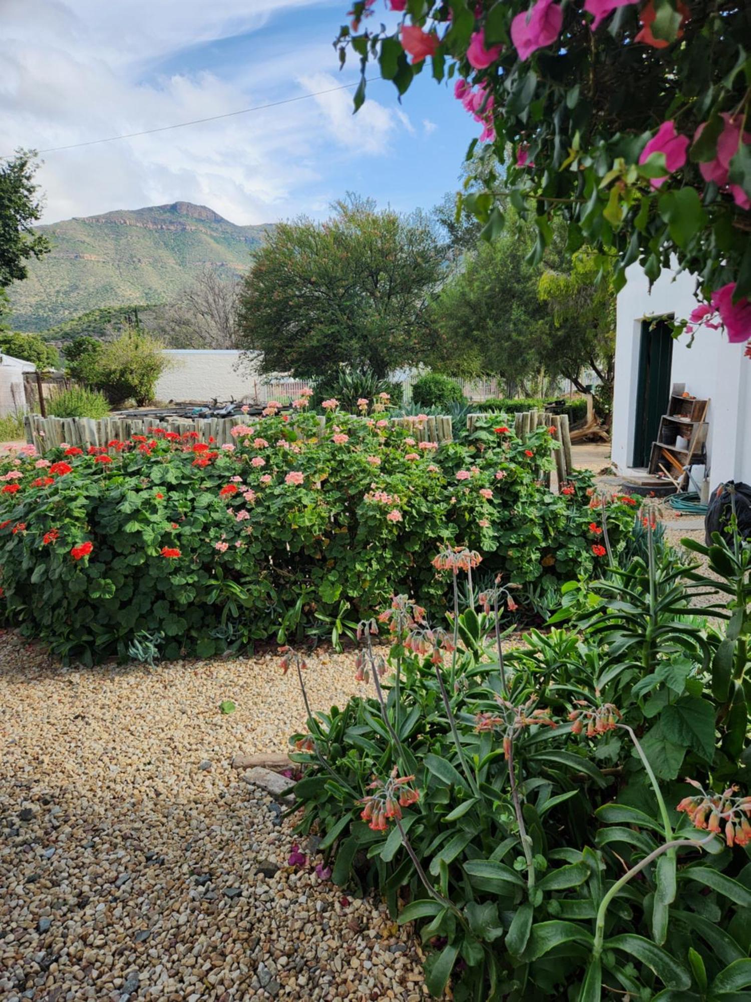 Die Dorpshuis Graaff-Reinet Zewnętrze zdjęcie